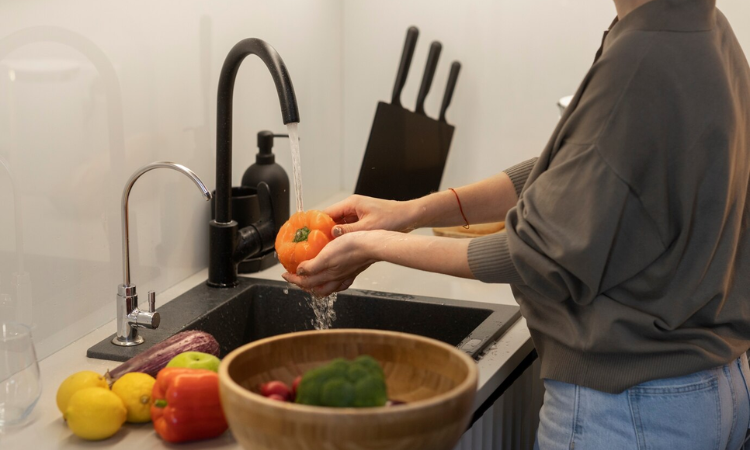 kitchen faucet with pull down sprayer